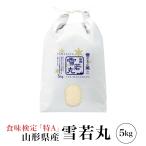 精米 5kg 令和７年産 特
