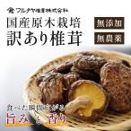 干し椎茸 国産  干ししいたけ 逸品 椎茸 無農薬 無添加 安心安全 原木 訳あり どんこ椎茸 セット 120g×4袋（480g）規格外品 国内産 送料無料