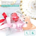 バルーン 発表会 母の日 卒業 プレゼント 賞品 バルーンギフト プチギフト ワンコ ニャンコ 犬 猫 手に持つタイプ 浮きません 3個セット