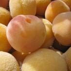 .. здоровье слива рука .... юг высота рефрижератор слива 1000g+ дополнение 500g~800g