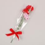 母の日にオススメのカーネーション