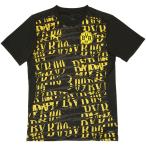 ボルシアドルトムント BVB 2024-25 PM SSシャツ 77911