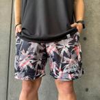 [ кошка pohs бесплатная доставка ] сирень расческа .-dau штемпель RELAXAR DalPonte Futaba спорт специальный заказ cocos nucifera. дерево шорты DPZ-FS24 футбол футзал p Lapin мужской 