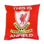 liba бассейн официальный Anne поле подушка 40×40cm футбол Premiere League товары поддержки интерьер аксессуары 