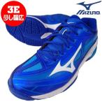 【即出荷】 ミズノ MIZUNO テニスシューズ ウエーブエクシード3 ワイド 61GB191301 メンズ レディース ユニセックス クレー・砂入り人工芝コート