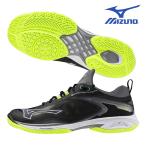 ミズノ MIZUNO バドミントン シューズ ウエーブクローNEO3 71GA2473