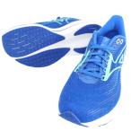 ミズノ MIZUNO メンズ ランニングシューズ WAVE RIDER 29 SW ウエーブライダー29 SW マラソン ジョギング J1GC2504-06