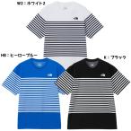 【ネコポス送料無料】ザ・ノース・フェイス THE NORTH FACE メンズ Tシャツ ショートスリーブパネルボーダーティー 25SS アウトドア NT32406