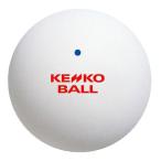  Kenko soft теннис мяч 2 лампочка ввод TSOWVB