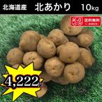 [ новый ...] бесплатная доставка Hokkaido производство север ...10kg M размер картофель лошадь колокольчик .