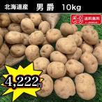  бесплатная доставка Hokkaido производство мужчина .M размер 10kg картофель лошадь колокольчик . бесплатная доставка 