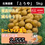 送料無料 北海道産 とうや 訳あり 食品ロス S～Lサイズ混合 5kg じゃがいも 馬鈴薯【お試しじゃがいも付】