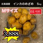 送料無料 北海道産インカのめざめ Mサイズ5kg  じゃがいも 馬鈴薯