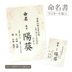  жизнь название документ A4 открытка комплект Sakura рисунок название inserting заказ праздник мужчина девочка память рождение baby младенец новорожденный название установка праздник . популярный празднование рождения жизнь название бумага A4 размер 