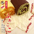 ガーゼケット シングル 東京西川 ふぁここ シングル