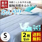 肌掛け布団 シングル 2枚セット 東京西川 ひんやり接触冷感 片面タオル地 洗える肌布団 キルトケット 夏用 クールケット