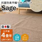 カーペット 4.5畳 江戸間 261×261cm 日本製 抗菌 防臭 平織り フリーカット 絨毯 サージュ