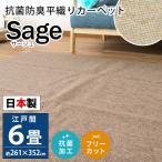  ковровое покрытие 6 татами Edoma 261×352cm сделано в Японии антибактериальный дезодорация простая ткань свободный cut .. волна .