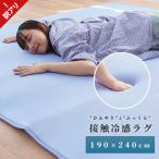 訳あり品 ひんやり涼感 低反発ラグ 3畳 190×240cm 夏 夏用 ふっくら低反発ウレタン入り 接触冷感ラグ カーペット