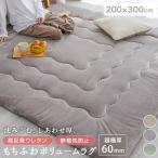 ラグ ボリュームラグ 厚手 60mm 高反発 ふわとろ もっちり 極厚 200×300 長方形 防ダニ 4畳 滑り止め付 防音 静電防止 秋 冬