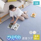 ラグ 極厚 遮音 冷感ラグ 高反発 ひんやり 接触冷感 ラグマット 夏用 190×240 滑り止め付 マット 洗える ラグカーペット 夏 カーペット 防音 ウォッシャブル