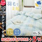 羽毛布団 シングル あったか 超増量 1
