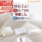 羽毛布団セット シングル 西川 羽毛布団3点セット 布団セット 組布団セット 掛け布団 敷き布団 枕 送料無料 西川