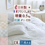 羽毛布団 ダブル ダウンケット ロマンス小杉 羽毛肌掛け布団 洗える 増量0.5kg フランス産ダウン85% 日本製 ダブルサイズ
