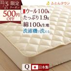 爆買 洗える ベッドパッド クイーン