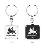 LUZeSOMBRA/ разрозненный isombla брелок для ключа FUTEBOL ZION KEY HOLDER