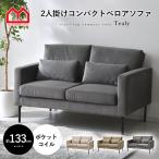 ソファ 二人掛け コンパクト ベロア おしゃれ ポケットコイル ソファー sofa 2人掛け ローソファ 小さめ 肘置き ワンルーム クッション スチール かわいい