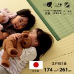 江戸間3畳 約174×261cm 長方形 ラグ 洗える カーペット 日本製 国産 抗菌 防臭 消臭 アウトドア レジャー 敷物 和室 シンプル グリーン 畳カーペット