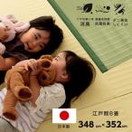 江戸間8畳 約348×352cm 長方形 ラグ 洗える カーペット 日本製 国産 抗菌 防臭 消臭 アウトドア レジャー 敷物 和室 シンプル グリーン 畳カーペット