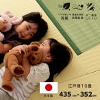 江戸間10畳 約435×352cm 長方形 ラグ 洗える カーペット 日本製 国産 抗菌 防臭 消臭 アウトドア レジャー 敷物 和室 シンプル グリーン 畳カーペット