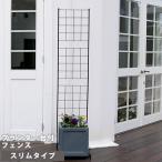  сад забор тонкий модель . железный зеленый занавески садоводство глаз .. веранда роза рамка-оправа перегородка . фигурная скобка двор сад садоводство забор 