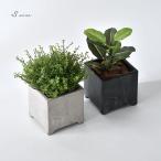  цветочный горшок посадочная машина горшок pot квадратное 4 номер модный Северная Европа античный меньше садоводство сад интерьер 4 угол прямоугольник декоративное растение садоводство салон наружный много мясо 