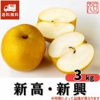 梨 3kg 贈答用 新高 新興 新潟県産 旭ファーム 白根大郷 産地直送 ギフト 和梨 プレゼント お歳暮