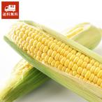 . покупка кукуруза Niigata префектура Цу юг блок производство 10kg примерно 22~26шт.@ подарок подарок на Bon Festival 