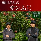 りんご 長野県産 贈答用 10kg サンふじ ギフト 寒中見舞い