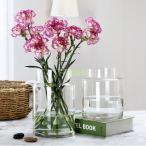 ショッピング花瓶 花瓶 フラワーベース ユニーク ガラス 花びん フラワーベース 花 フラワー フラワーグラス 花瓶 ガラス ガラスベース シンプル おしゃれ 置物 北欧 花器
