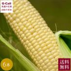 Inakakara Farm to Table 山梨県 甲府市特産 とうもろこし きみひめ 6本 6月上旬〜8月上旬発送 送料無料 産地直送 トウモロコシ コーン 高糖度 高品質 甘い 野菜