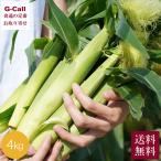 Inakakara Farm to Table 山梨県 甲府市特産 きみひめヤングコーン 4kg 約35〜40本 5月中旬〜7月上旬発送 指定日不可 沖縄・離島お届け不可 送料無料 産地直送