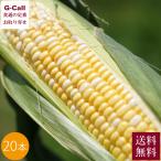 Inakakara Farm to Table 山梨県産 極甘とうもろこし 甘々娘 20本 6月中旬〜7月下旬出荷 送料無料 かんかん娘 とうもろこし フルーツコーン メーカー直送