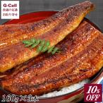 10%OFF うなぎ屋かわすい 国内産うなぎ蒲焼 有頭 160g 3本 送料無料 国産 ウナギ 鰻 蒲焼 うなぎ 冷凍 蒲焼 お取り寄せ 産地直送 贈答 ギフト