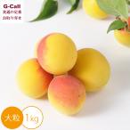 . внутри плоды . специальный культивирование .. слива юг высота слива крупный 1kg 6 месяц последняя декада из 7 месяц сверху . отгрузка Hokkaido * Okinawa доставка отдельно слива ..ume слива сироп сливовое вино слива джем плоды ручная работа производство человек прямая поставка 