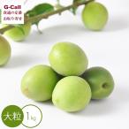 . внутри плоды . специальный культивирование синий слива товар вид смешивание крупный 1kg 6 месяц средний .~6 месяц последняя декада отгрузка указанный день не возможно бесплатная доставка слива ..ume слива сироп сливовое вино плоды Nara сок ручная работа производство человек прямая поставка 