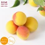 堀内果実園 特別栽培 完熟梅 南高梅