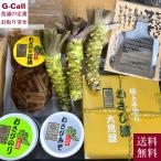 大見屋のわさび Aセット わさび漬 わさびみそ わさびのり 茎の三杯漬 生わさび 鮫皮すり板付き 6種セット 送料無料 わさび ワサビ 惣菜 調味料 贈答 詰合せ