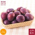  Yamagata производство sumomo солнечный rouge 2kg 18~20 шар JA... запад . гора 9 месяц сверху .~ последняя декада отгрузка указанный день не возможно бесплатная доставка фрукты фрукты .s Momo слива Yamagata ваш заказ 