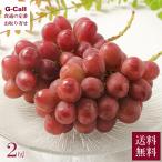  десять тысяч . Nagano производство Queen rouge примерно 850g 2.9 месяц последняя декада ~10 месяц последняя декада отгрузка бесплатная доставка виноград .. красный .. виноград фрукты .. было использовано фрукты красный автомобиль in мускат 